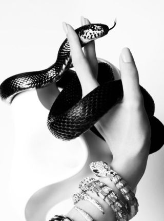 Had – symbol proměny, síly a ženské intuice. 🐍✨ Zjisti, co všechno v sobě skrývá tenhle dávný znak… 📖 Přečti si náš článek...